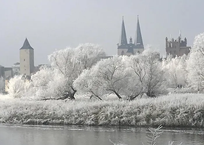 Schleusenmeistergehoeft 펜션 *