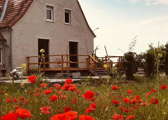 Schleusenmeistergehoeft 펜션 *